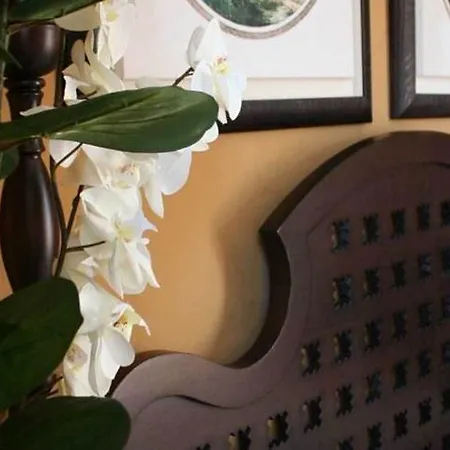 Hotel Dei Coloniali 3*